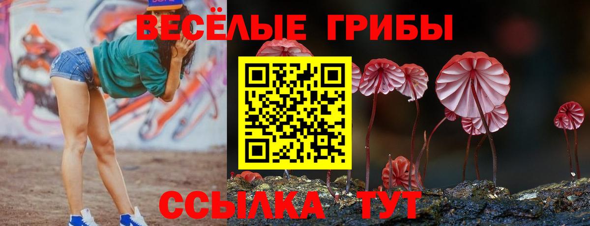 Самара  Псилоцибиновые грибы MAGIC MUSHROOMS  Вход с VPN  Галлюциногенные грибы Magic Shrooms 